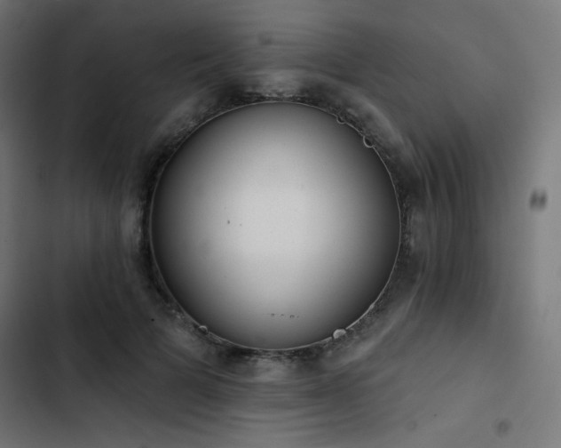 X0000103490697200809121715