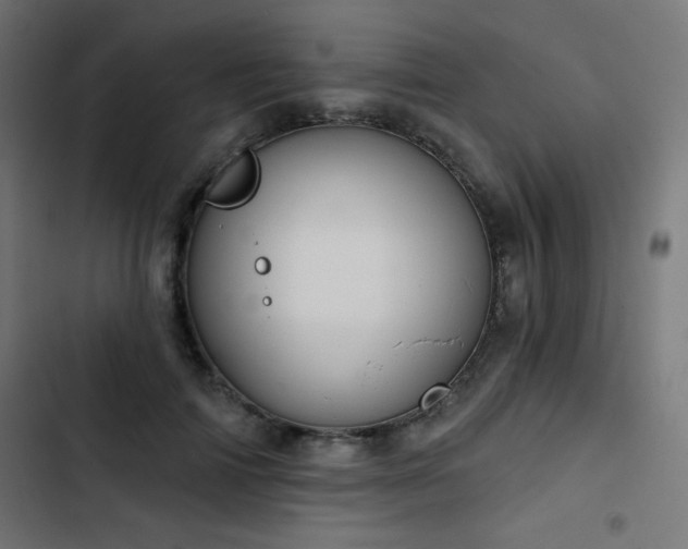 X0000103490698200809121715