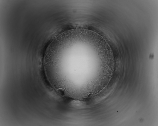 X0000103490699200809121715