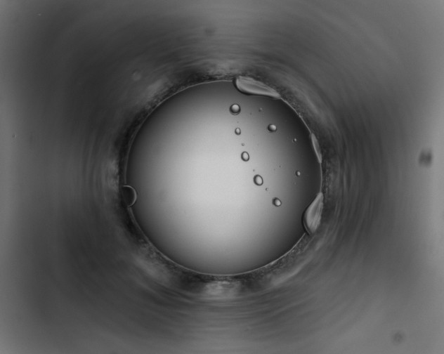 X0000103490700200809121715