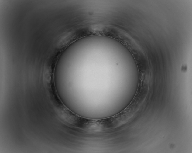 X0000103490702200809121715