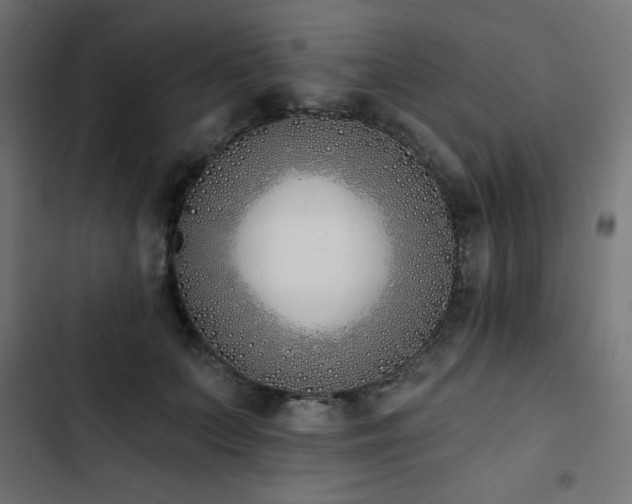 X0000103490703200809121715