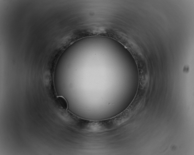 X0000103490704200809121715