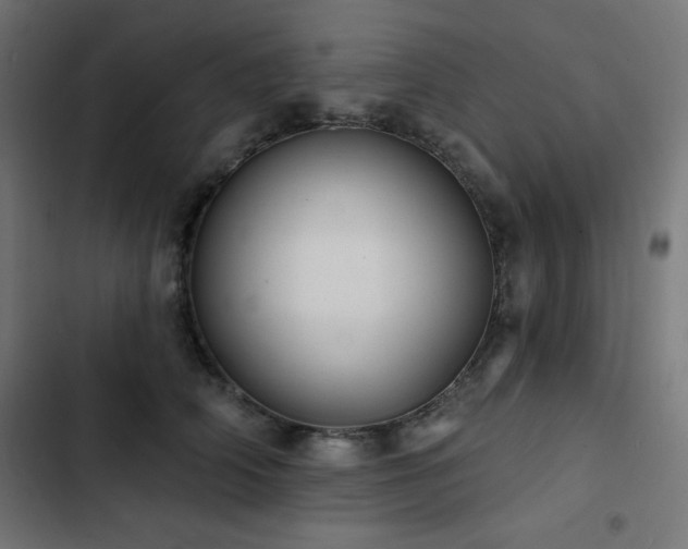 X0000103490706200809121715