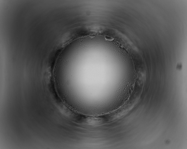 X0000103490707200809121715