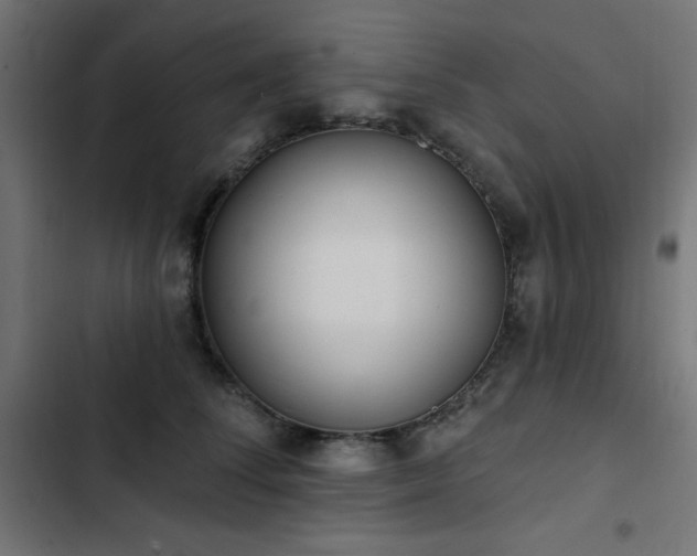 X0000103490708200809121715