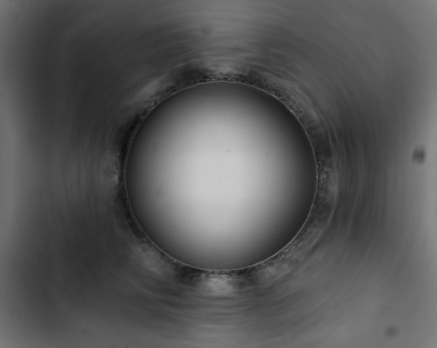 X0000103490710200809121714