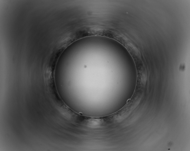 X0000103490711200809121714