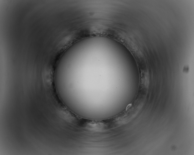 X0000103490712200809121714