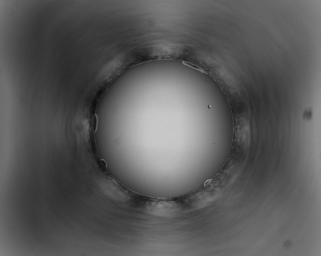 X0000103490716200809121714