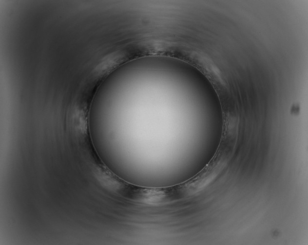 X0000103490719200809121714