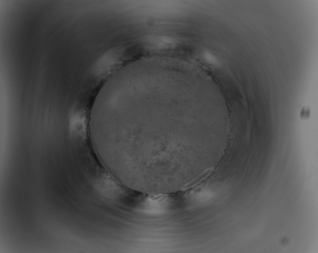 X0000103490720200809121714