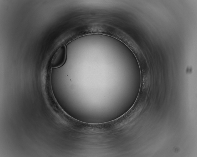 X0000103490722200809121714