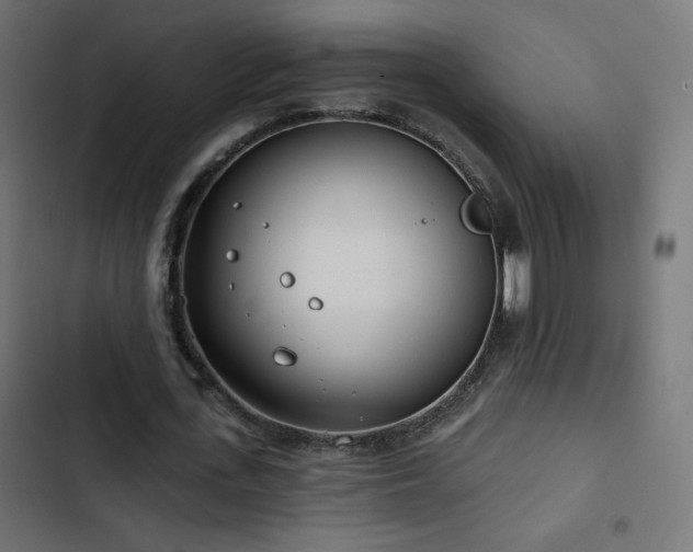 X0000103490723200809121714