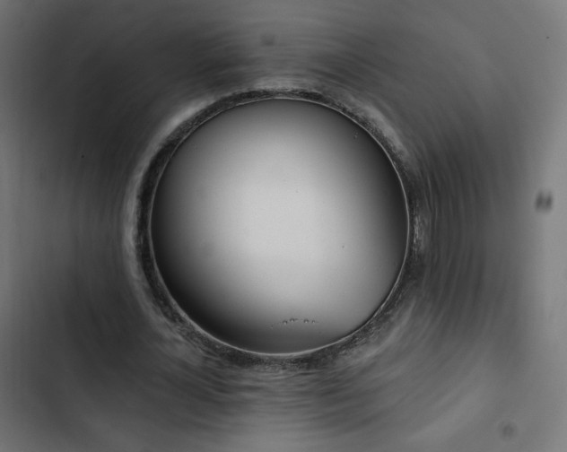 X0000103490724200809121714