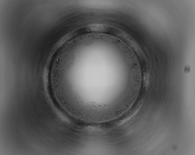 X0000103490725200809121714