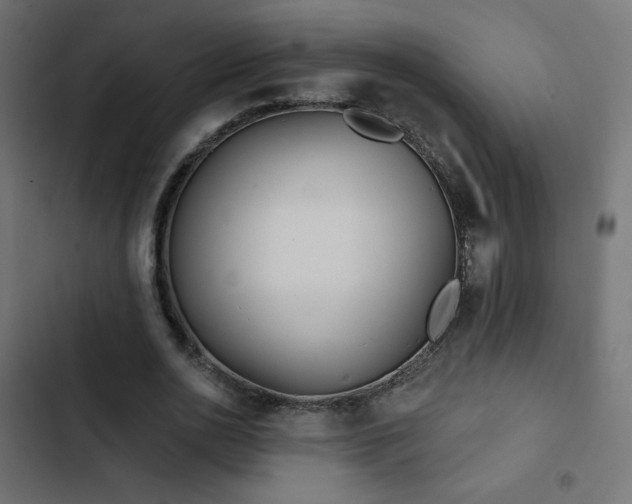 X0000103490726200809121714