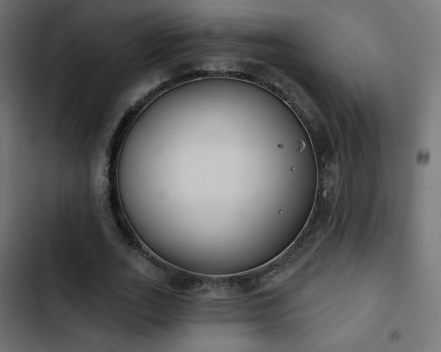 X0000103490727200809121714