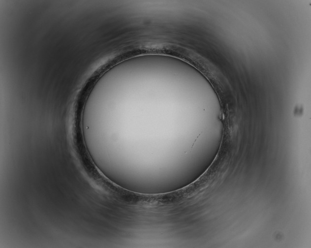 X0000103490728200809121714