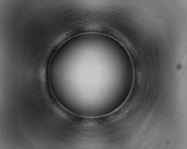 X0000103490729200809121714