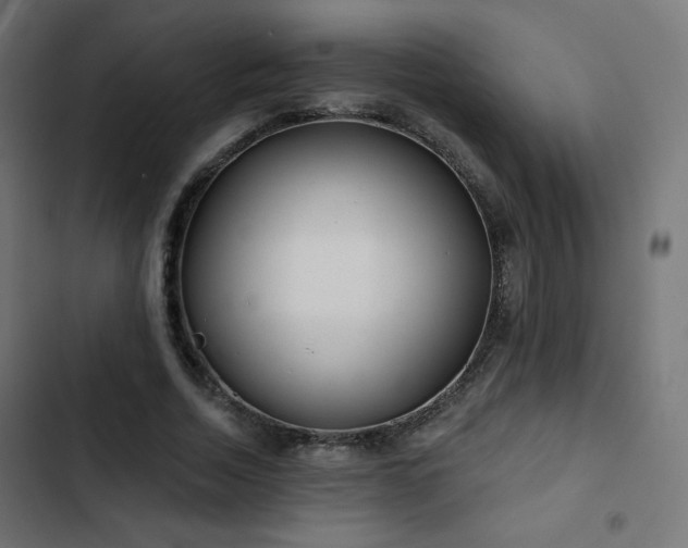 X0000103490730200809121714