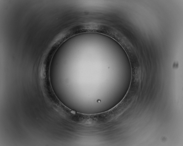 X0000103490731200809121714