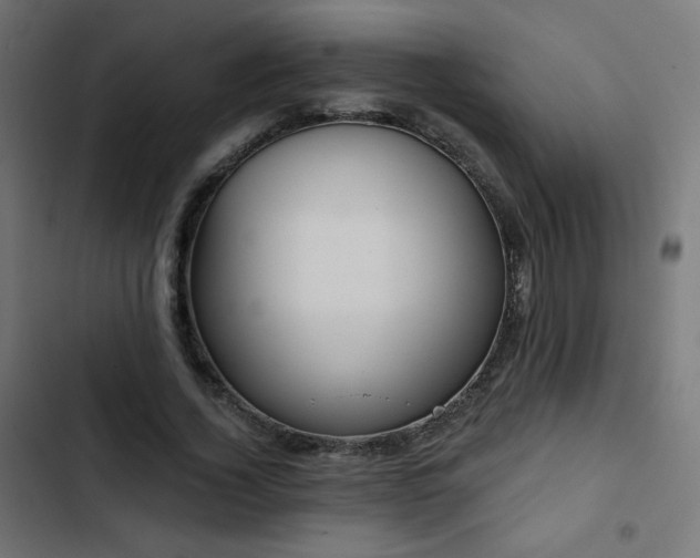 X0000103490732200809121714