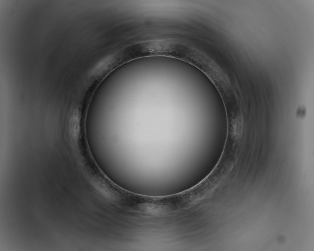 X0000103490733200809121714