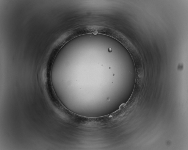 X0000103490734200809121714