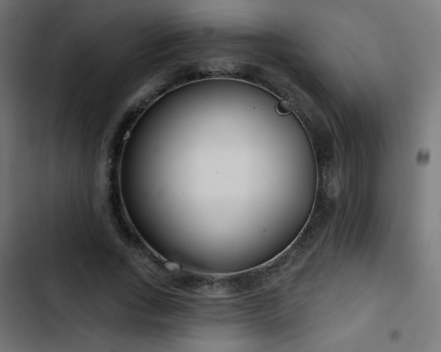 X0000103490735200809121714