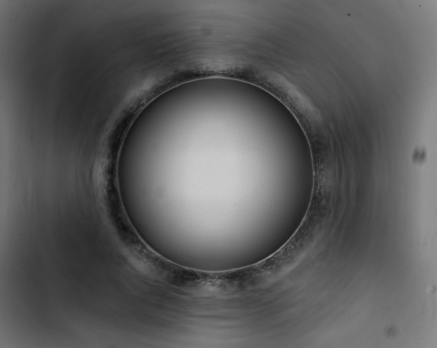 X0000103490736200809121714