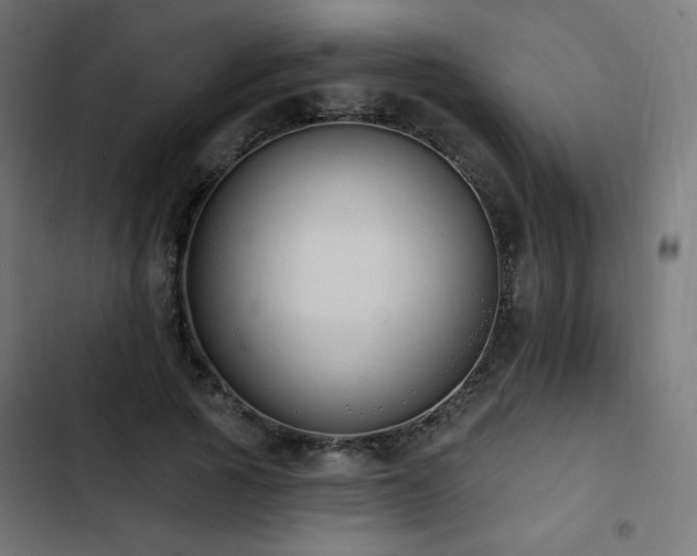 X0000103490737200809121714