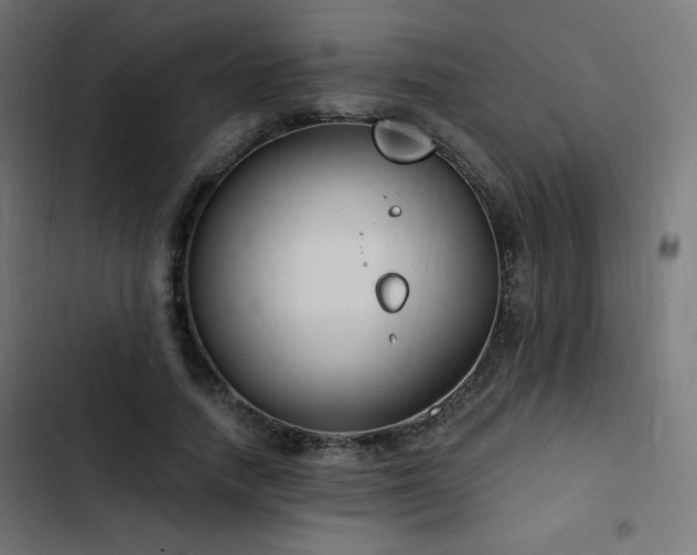 X0000103490738200809121714