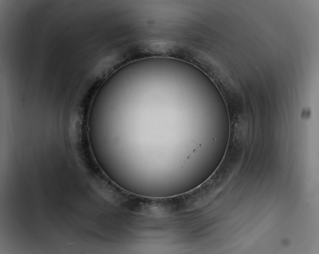 X0000103490739200809121714