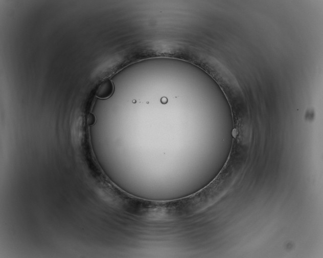 X0000103490740200809121714