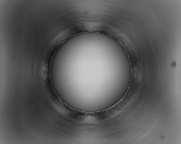 X0000103490741200809121714