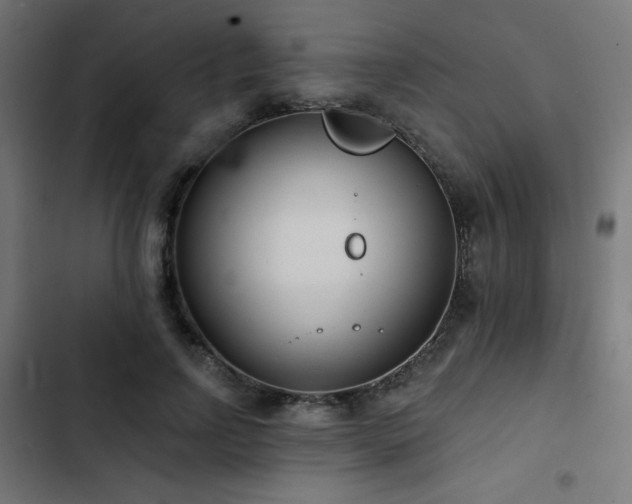 X0000103490742200809121714