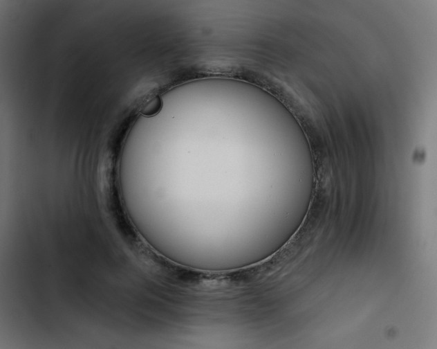 X0000103490744200809121714