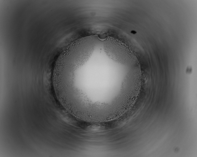 X0000103490745200809121714