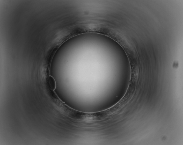 X0000103490746200809121714