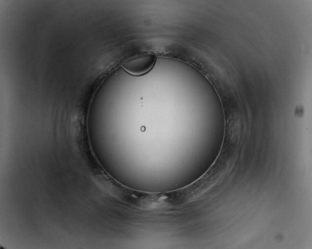 X0000103490747200809121714