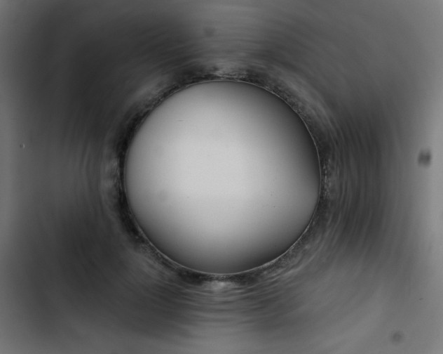 X0000103490748200809121714