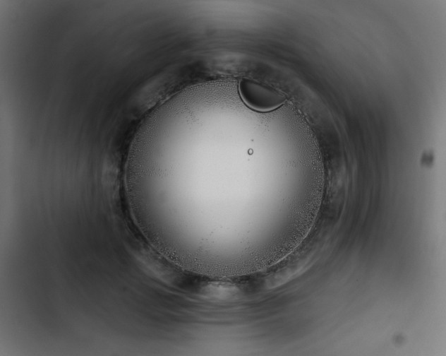 X0000103490749200809121714