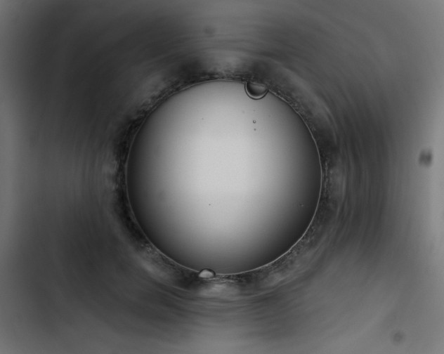 X0000103490750200809121714