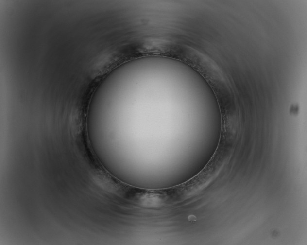 X0000103490751200809121714