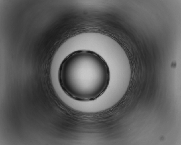 X0000103490752200809121714