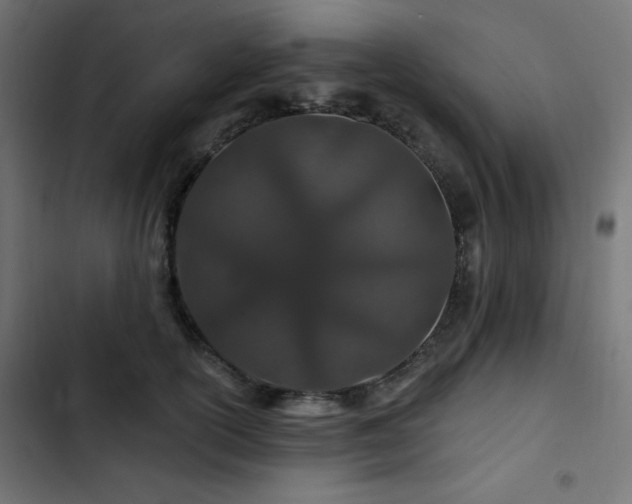 X0000103490754200809121714