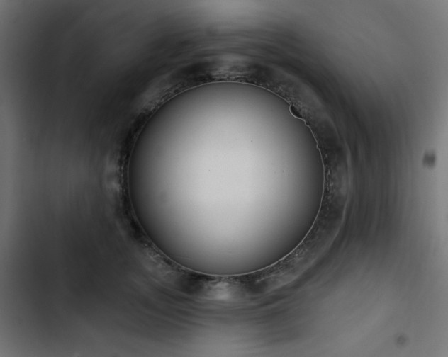 X0000103490755200809121714