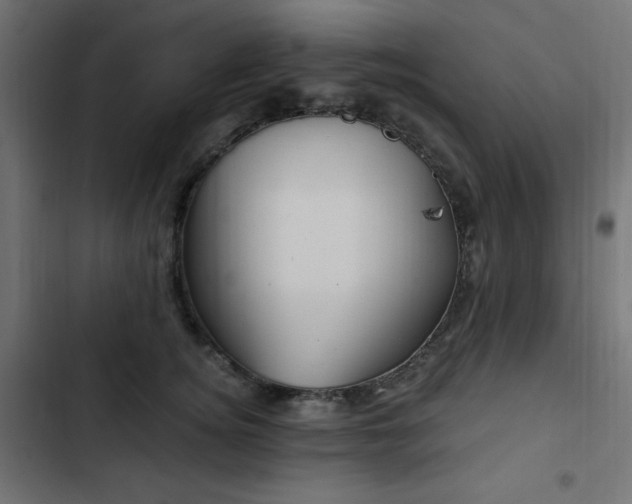 X0000103490756200809121714