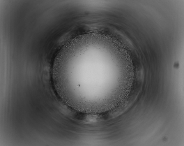 X0000103490757200809121714